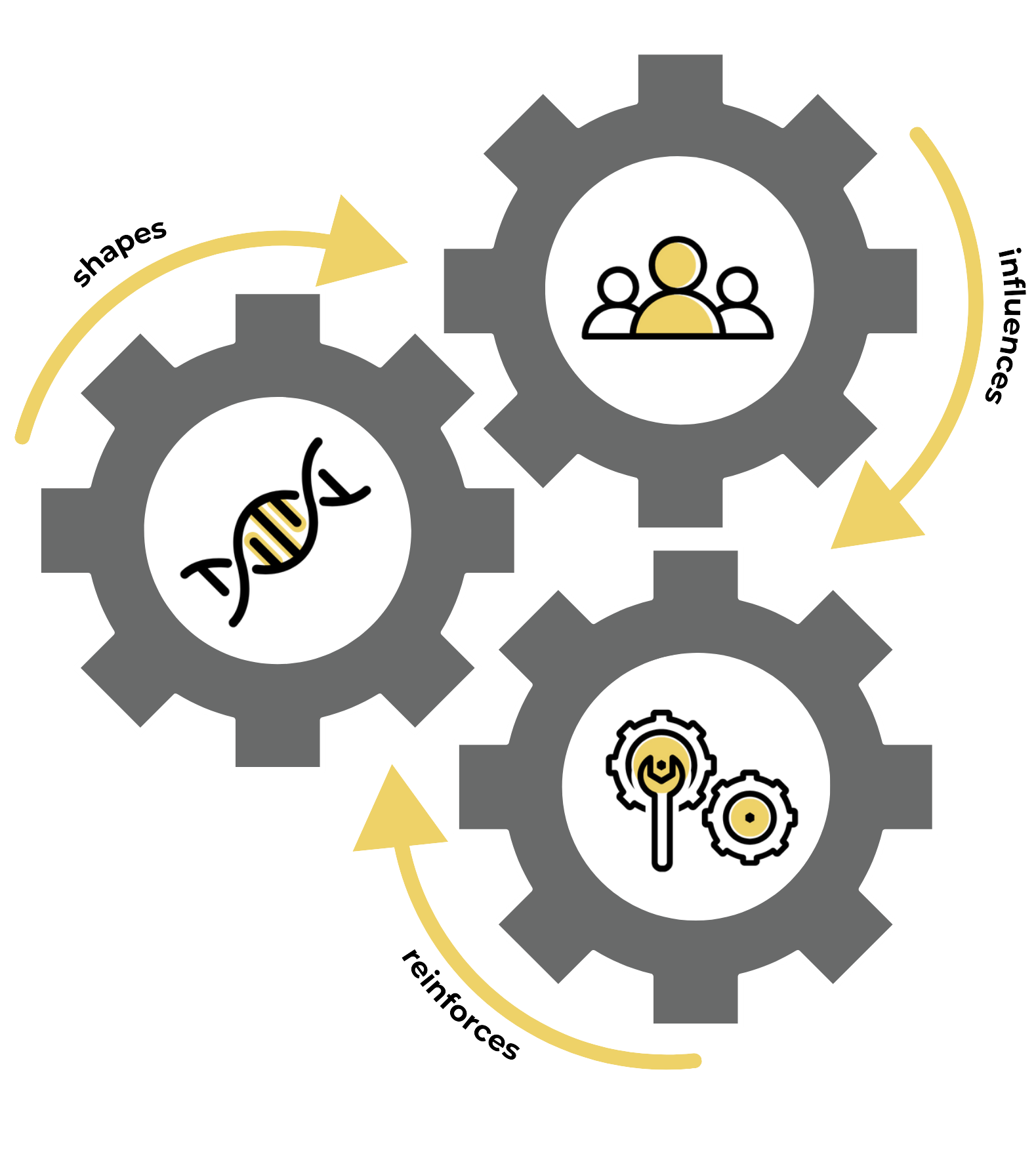 CC - Expertise graphic